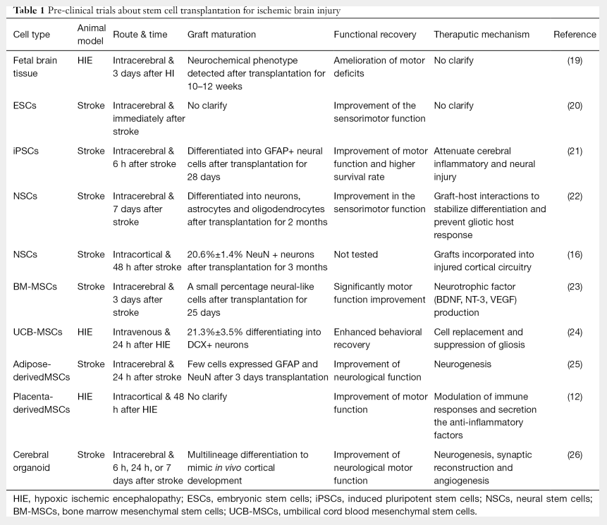 表1：干細胞移植治療缺血性腦損傷的臨床前試驗