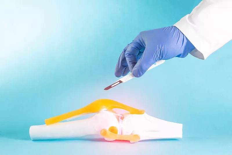 間充質干細胞在人類半月板修復中的潛在用途：當前見解