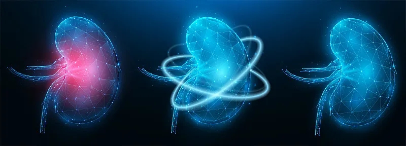 干細(xì)胞治療慢性腎病相對(duì)于腎移植的10個(gè)好處 干細(xì)胞治療慢性腎病相對(duì)于腎移植的10個(gè)好處