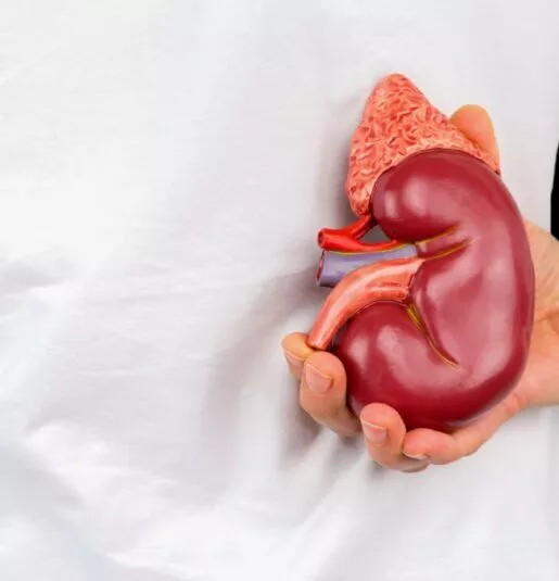 腎衰竭的原因有哪些？