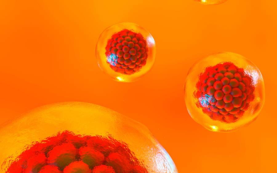 干細胞療法治療腦癱 干細胞療法治療腦癱