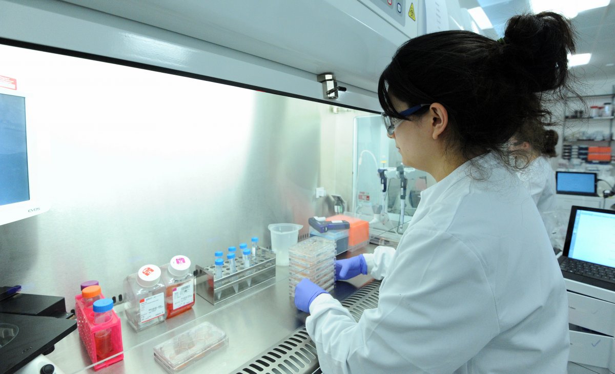 一位科學(xué)家正在研究誘導(dǎo)多能干細(xì)胞。圖片來(lái)源：Genome Research Limited