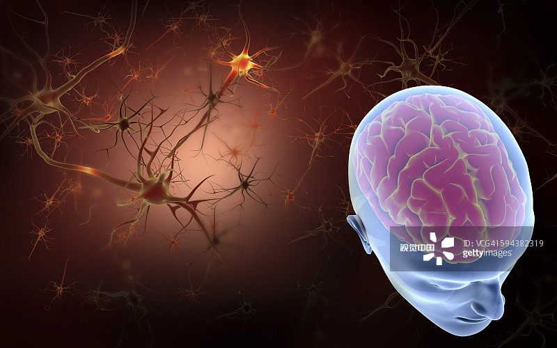 干細胞療法與神經系統(tǒng)疾病的概述（2023）