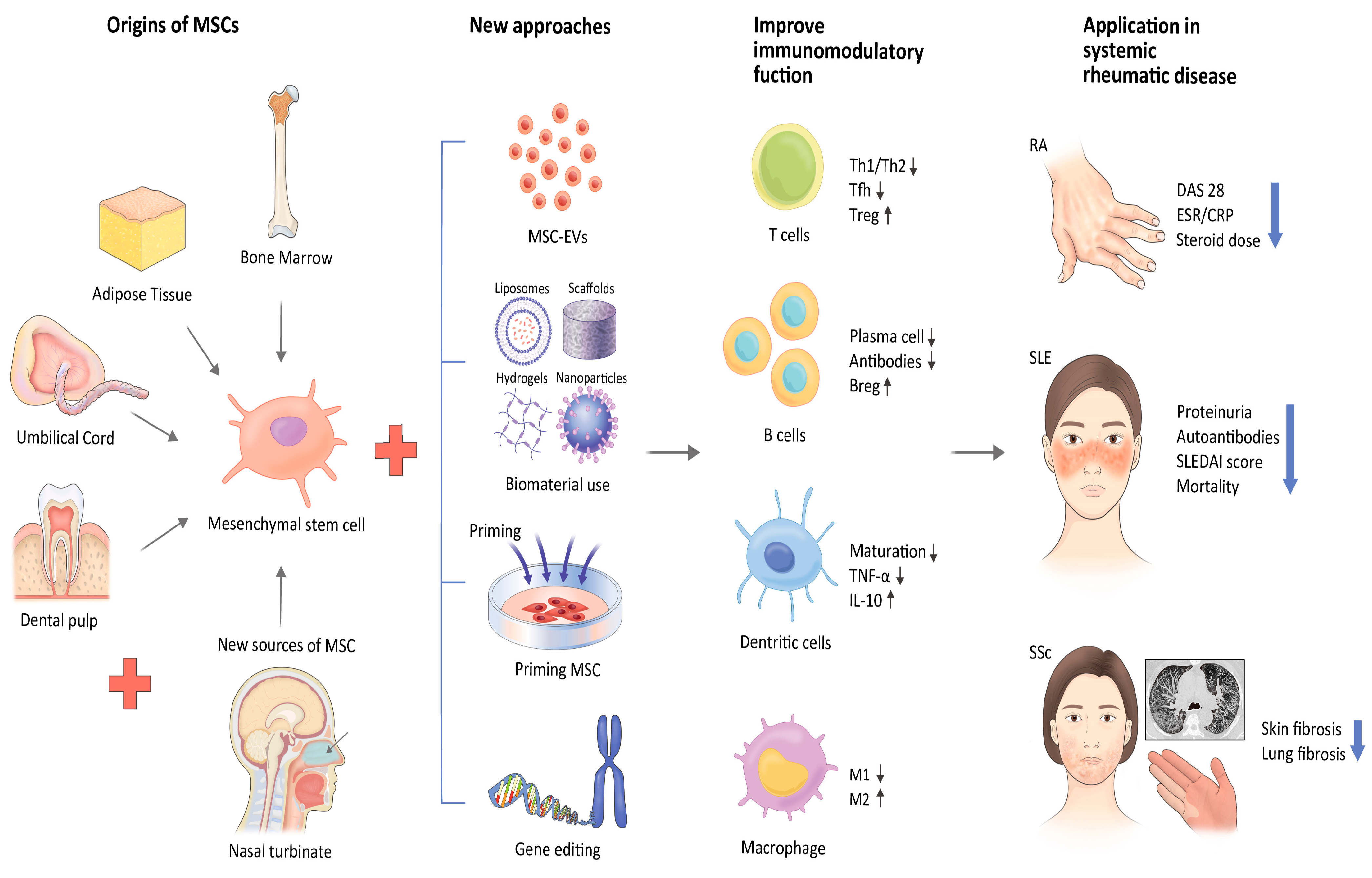 圖1：應對間充質干細胞治療風濕性疾病挑戰的新策略
