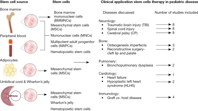 圖1：干細胞的來源和干細胞治療的臨床應(yīng)用。