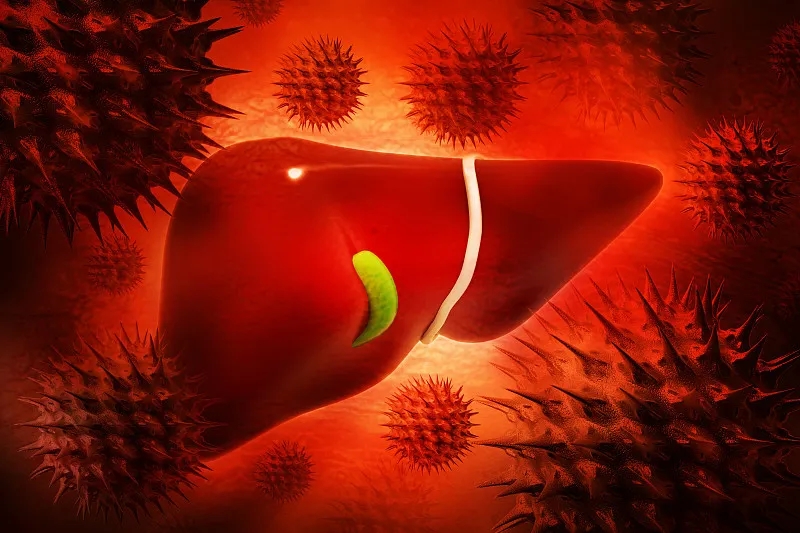 什么是乙型肝炎？