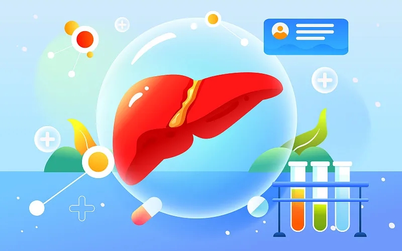 肝臟大小對(duì)我的健康有何影響？