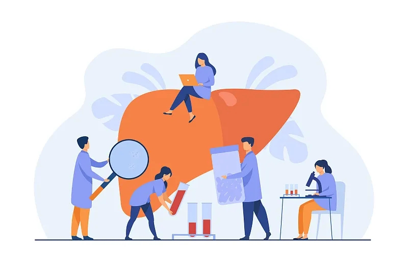 肝臟有什么作用？