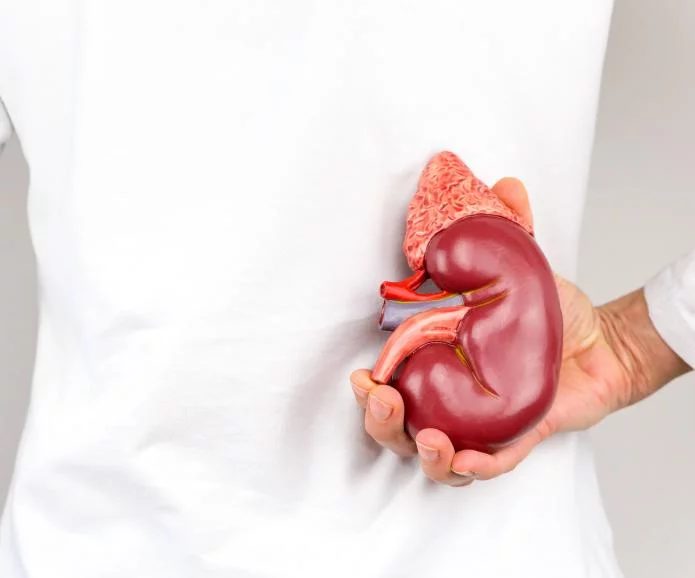 慢性腎臟病的第一階段：原因、癥狀和治療