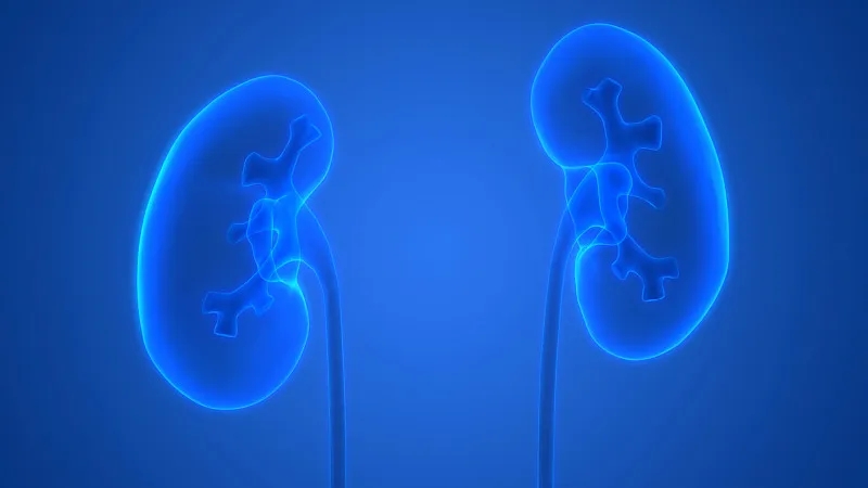 干細胞在治療腎病中取得哪些進展？未來將面臨哪些挑戰？