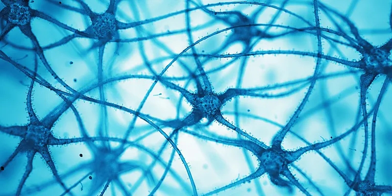 什么是神經細胞？為什么它們很重要？