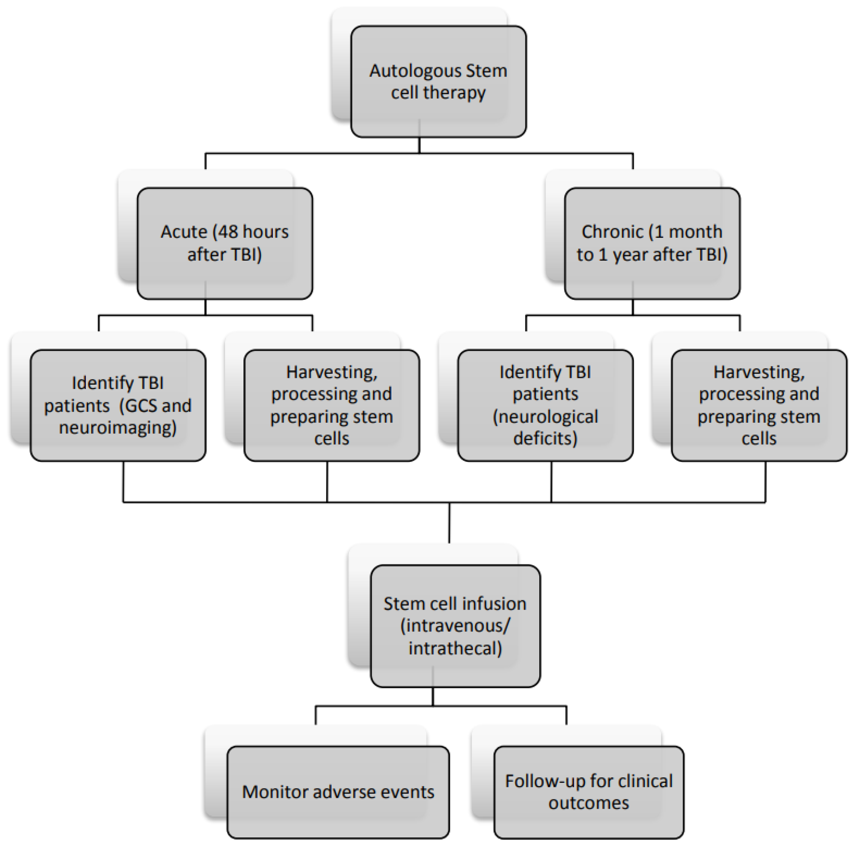 圖3：間充質干細胞治療腦損傷患者的流程圖。