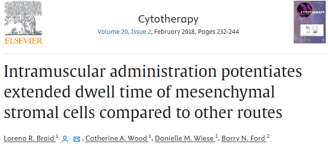 與其他途徑相比，肌肉注射可以延長間充質基質細胞的停留時間