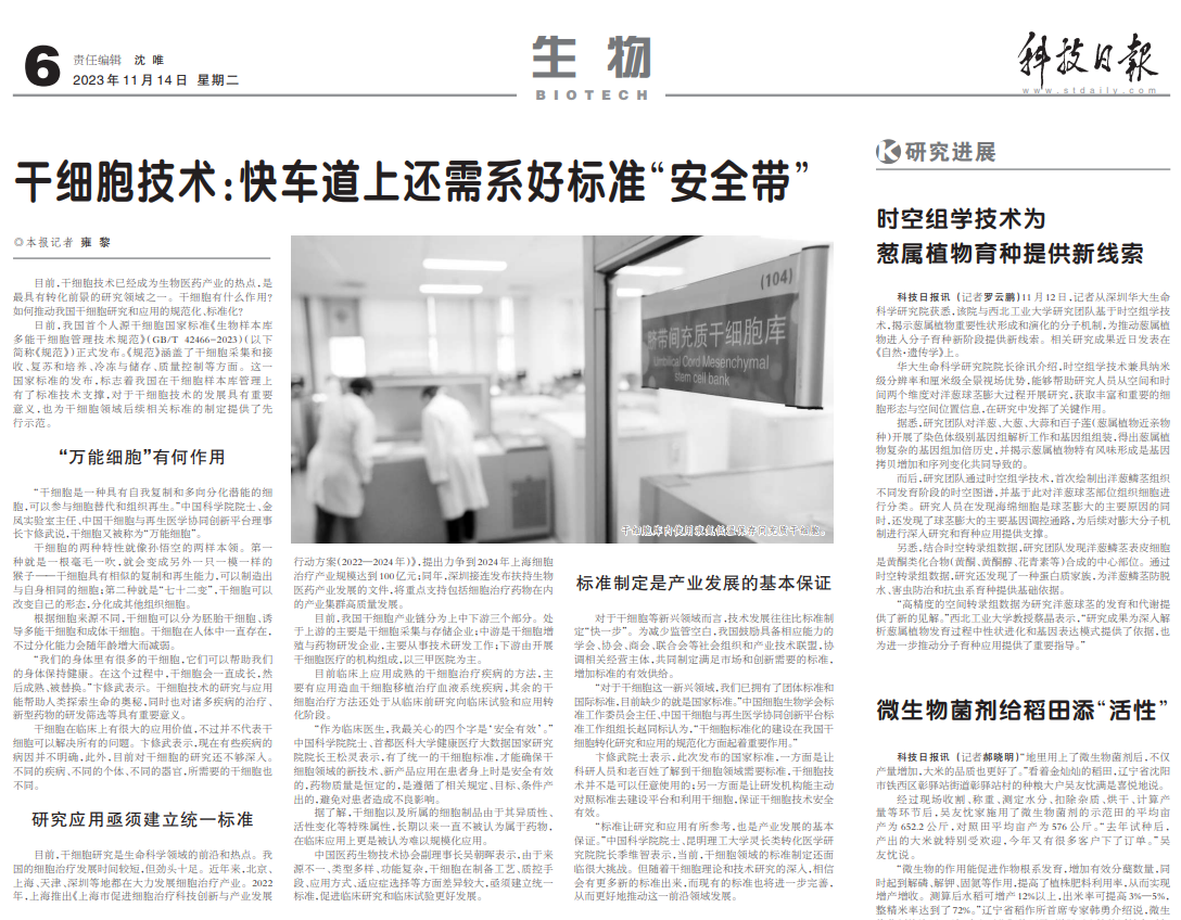 科技日報 | 干細(xì)胞技術(shù)：快車道上還需系好標(biāo)準(zhǔn)“安全帶”
