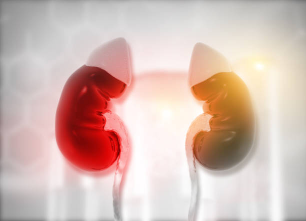 間充質干細胞治療急性腎損傷的潛在優勢