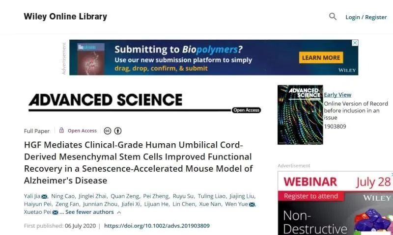 HGF介導(dǎo)臨床級人臍帶間充質(zhì)干細(xì)胞改善功能恢復(fù)在衰老加速的阿爾茨海默病小鼠模型中