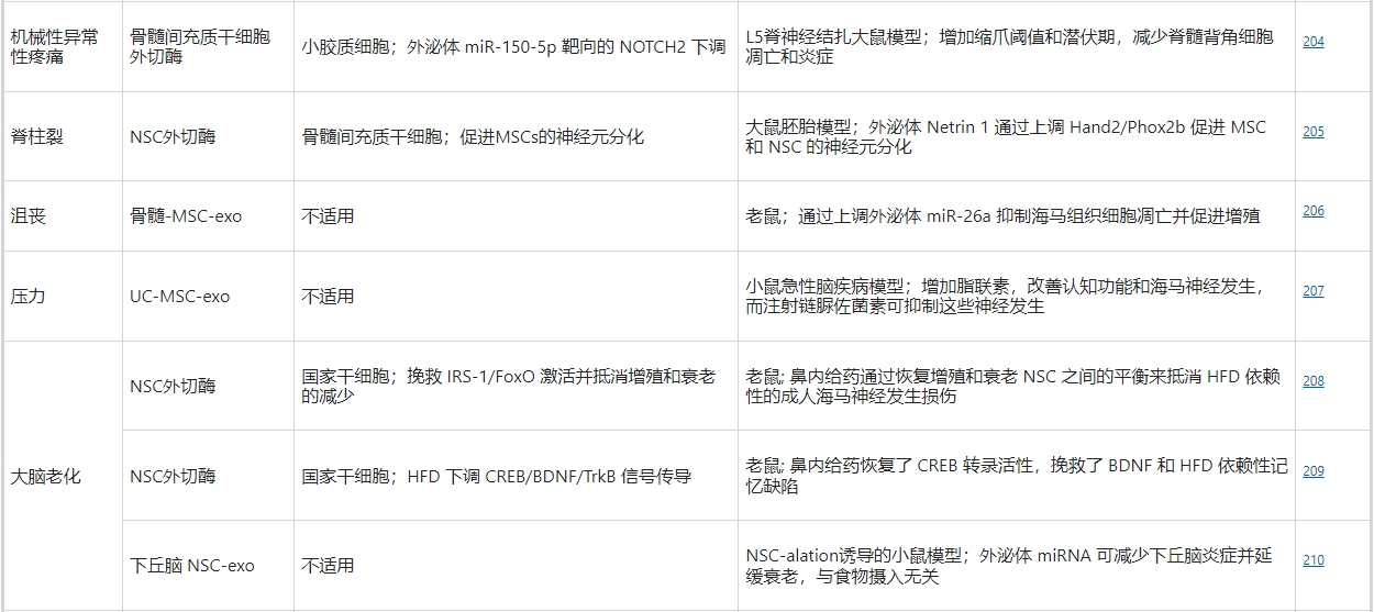 干細(xì)胞外泌體療法治療神經(jīng)外科疾病的研究