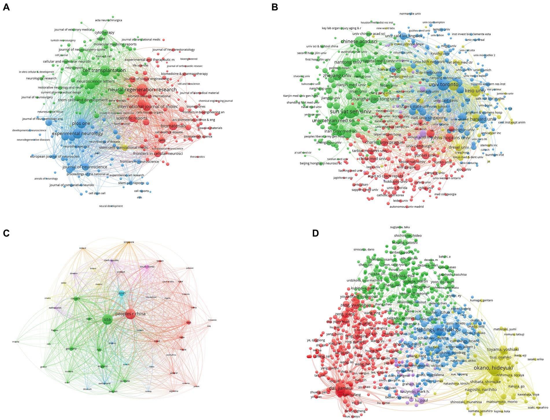 圖5：脊髓損傷研究干細(xì)胞療法的文獻(xiàn)耦合分析。