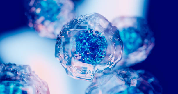 2024年重磅更新：藥監局公布間充質干細胞新藥，適應治療的46種疾病名單！