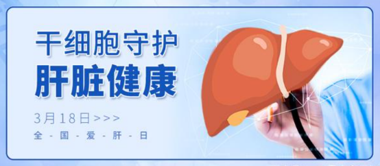 3.18全國愛肝日 | 讓干細(xì)胞療法守護(hù)您的肝臟健康 3.18全國愛肝日 | 讓干細(xì)胞療法守護(hù)您的肝臟健康