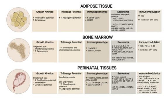 △?UC-MSC、AT-MSC及BM-MSC生物差異性對比，圖中額外增加表面標志物對比
