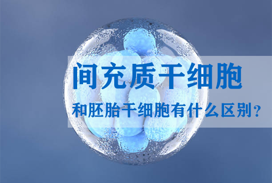 間充質干細胞和胚胎干細胞有什么區別? 間充質干細胞和胚胎干細胞有什么區別?