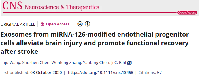 miRNA-126修飾內皮祖細胞的外泌體可減輕腦損傷并促進中風后功能恢復