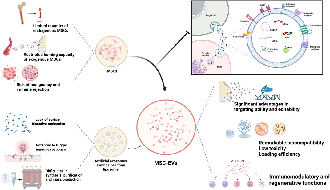 圖1：MSC-Exos作為藥物載體的生物學優勢。