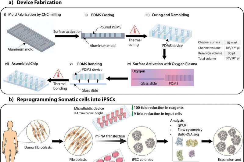 新設(shè)備改善了干細(xì)胞的生成,為阿爾茨海默氏癥細(xì)胞療法提供了機會 新設(shè)備改善了干細(xì)胞的生成,為阿爾茨海默氏癥細(xì)胞療法提供了機會
