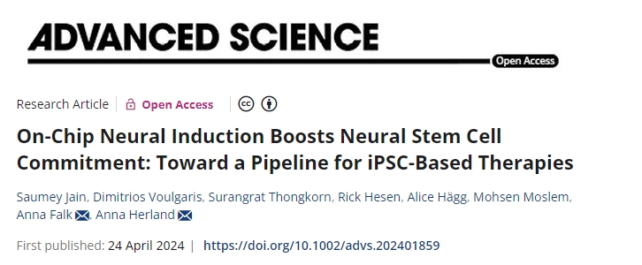 片上神經(jīng)誘導(dǎo)增強了神經(jīng)干細(xì)胞的承諾:邁向基于iPSC的療法的管道 片上神經(jīng)誘導(dǎo)增強了神經(jīng)干細(xì)胞的承諾:邁向基于iPSC的療法的管道
