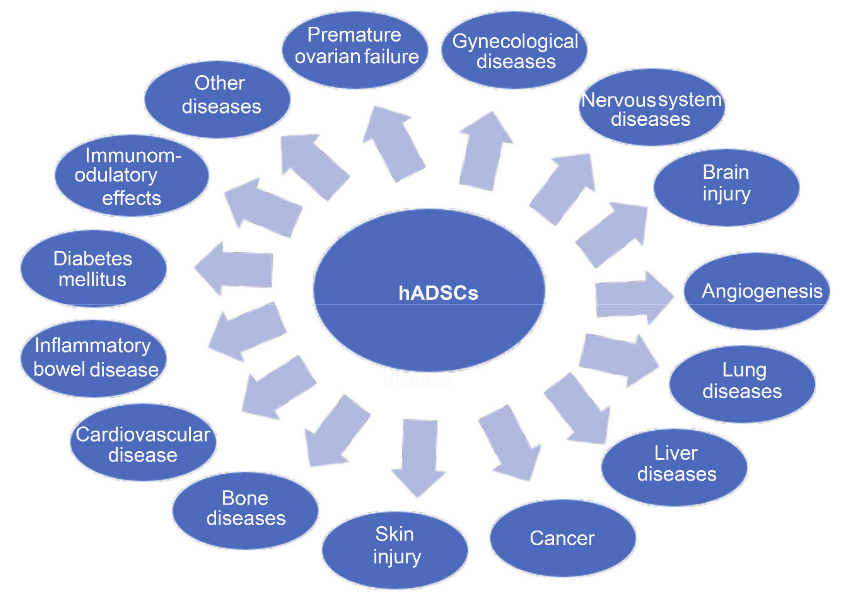 圖3.人羊膜來(lái)源干細(xì)胞治療疾病
