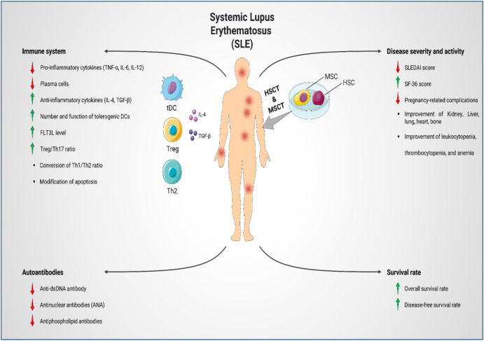 圖1:SLE患者的疾病發(fā)病機(jī)制、嚴(yán)重程度和活動(dòng)性。 圖1:SLE患者的疾病發(fā)病機(jī)制、嚴(yán)重程度和活動(dòng)性。