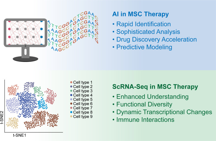 圖1：人工智能 (AI) 和單細胞RNA測序 (scRNA-seq) 用于增強間充質干細胞 (MSC) 的臨床應用。