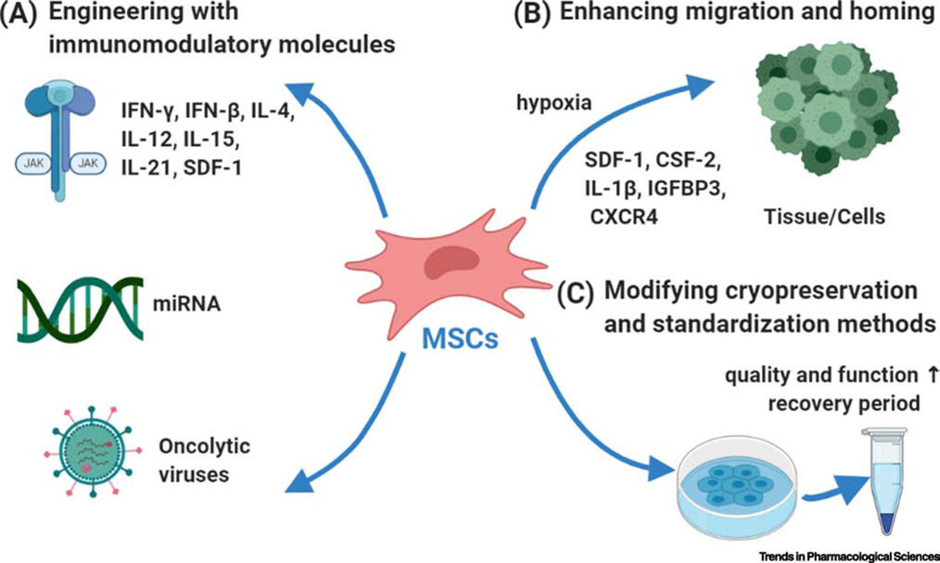圖2：提升間充質(zhì)干細胞應(yīng)用效果的三大策略
