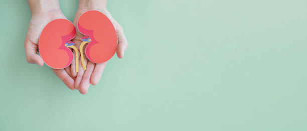 慢性腎病治療，你了解這6種方法嗎？