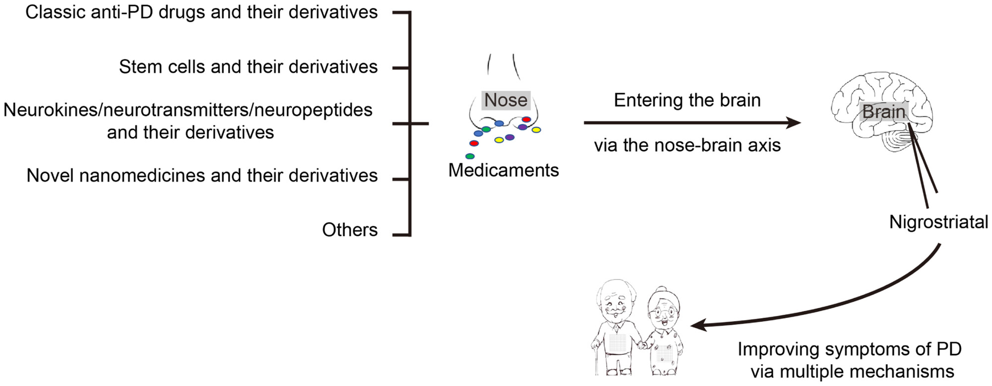 圖1：鼻內治療：帕金森?。≒D）的有希望的選擇