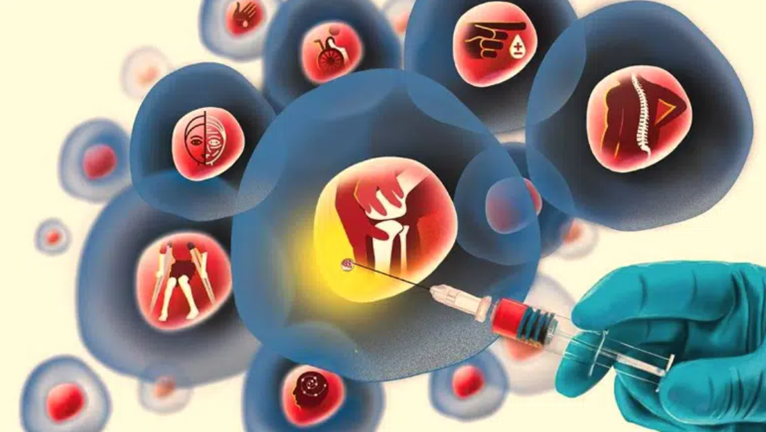 干細胞與再生醫學