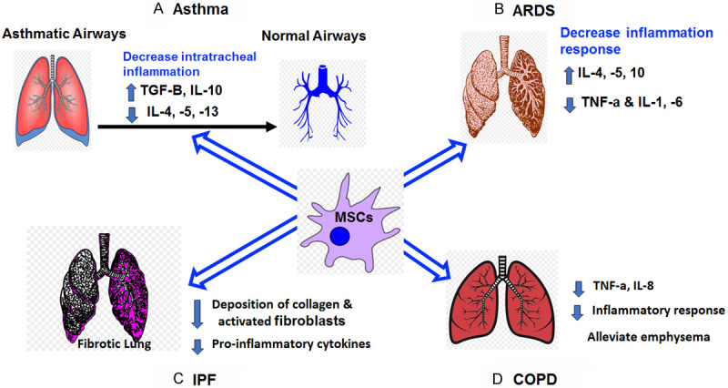 圖1：MSCs在主要肺部疾病和病癥中的主要功能總結。