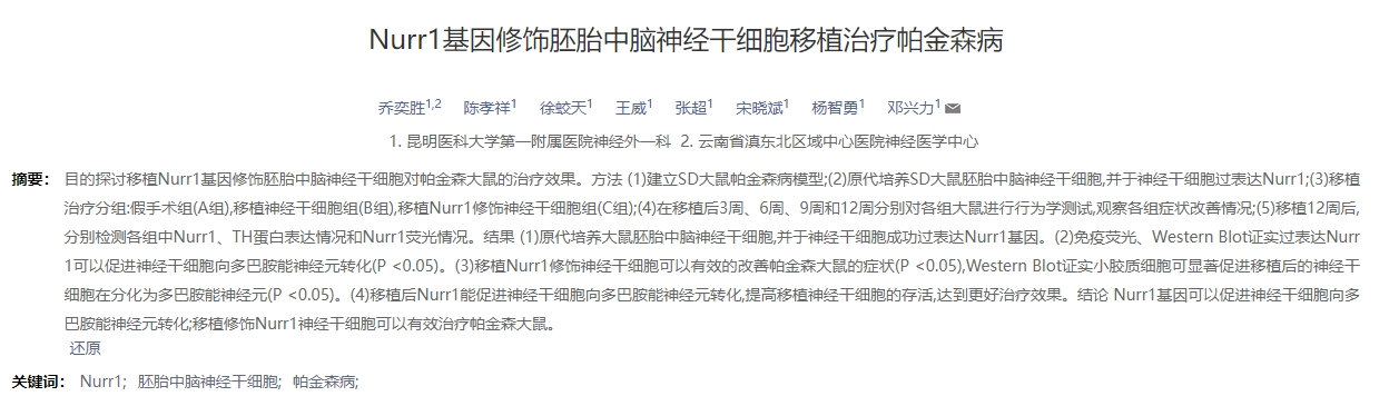 Nurr1基因修飾胚胎中腦神經(jīng)干細(xì)胞移植治療帕金森病