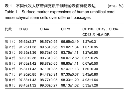 不同代次人臍帶間充質干細胞的表面標記表達