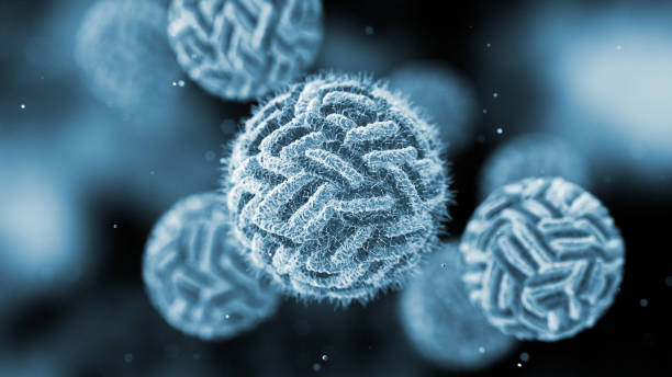 標準意義 標準意義