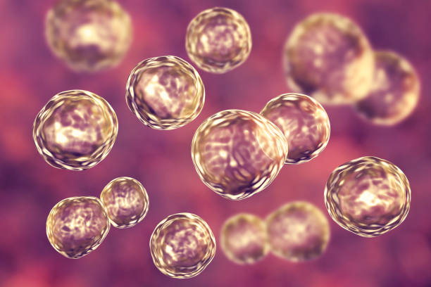 中國的人類多能干細胞生物庫的發展要迎來拐點了嗎？