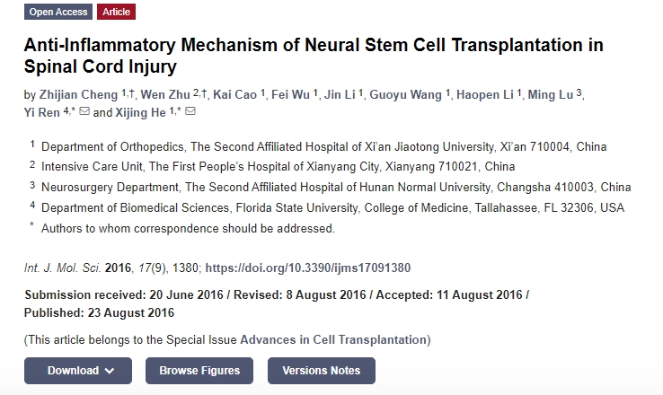 神經干細胞移植治療脊髓損傷的抗炎機制