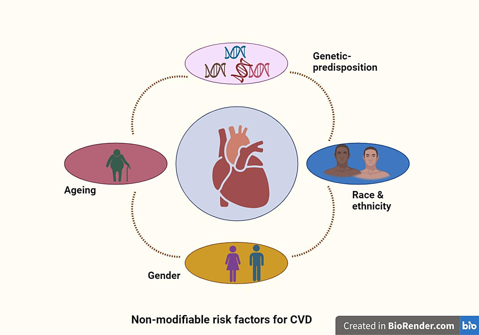 圖1：心血管疾病的不可改變的風險因素。