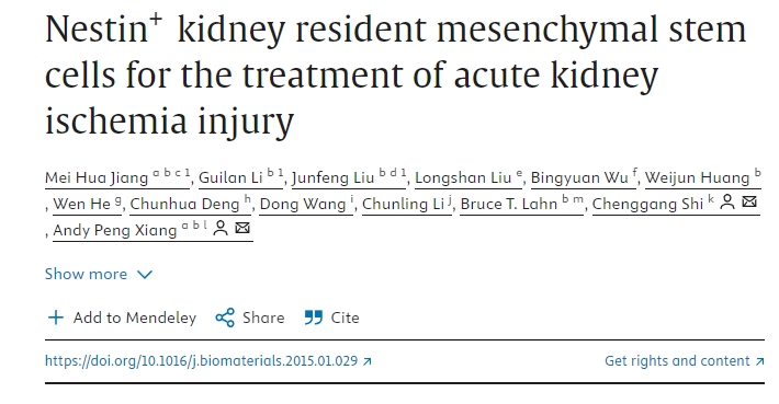 Nestin?+腎臟駐留間充質干細胞治療急性腎缺血損傷