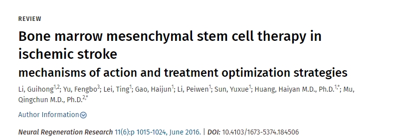 骨髓間充質(zhì)干細胞治療缺血性腦卒中的作用機制及治療優(yōu)化策略