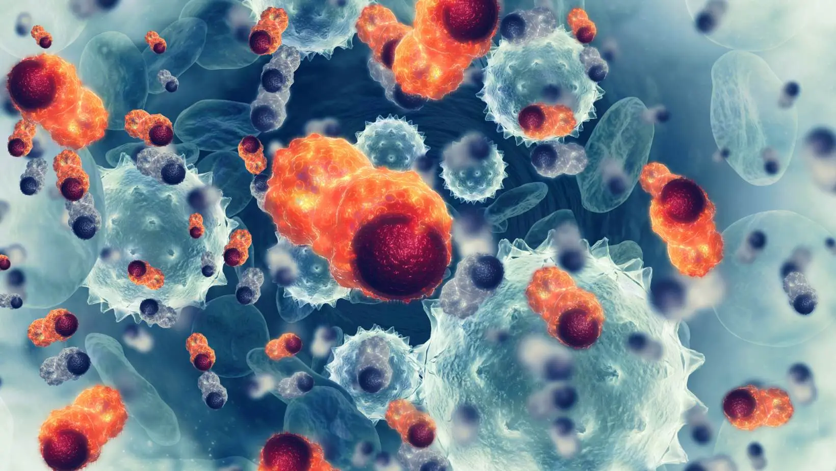 干細胞飲食：如何通過飲食更好的再生和治愈