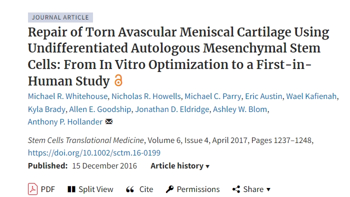 使用未分化自體間充質干細胞修復撕裂的無血管半月板軟骨：從體外優化到首次人體研究