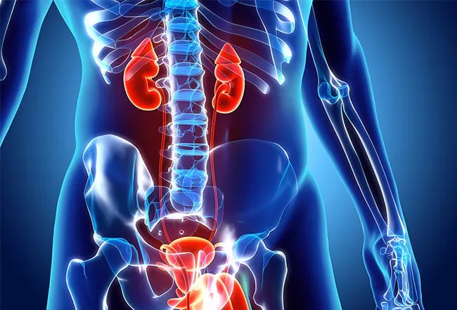 您通常可以降低患腎病的風險或阻止其進展。