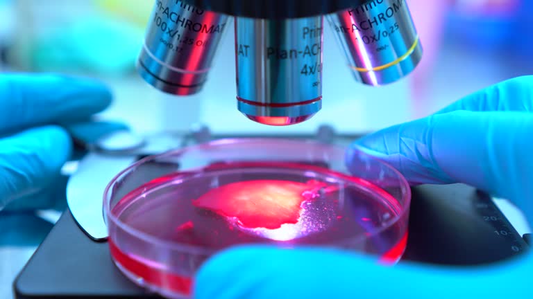 間充質(zhì)干細胞療法的利與弊